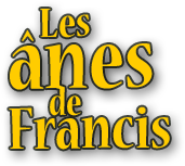 Les ânes de Francis
